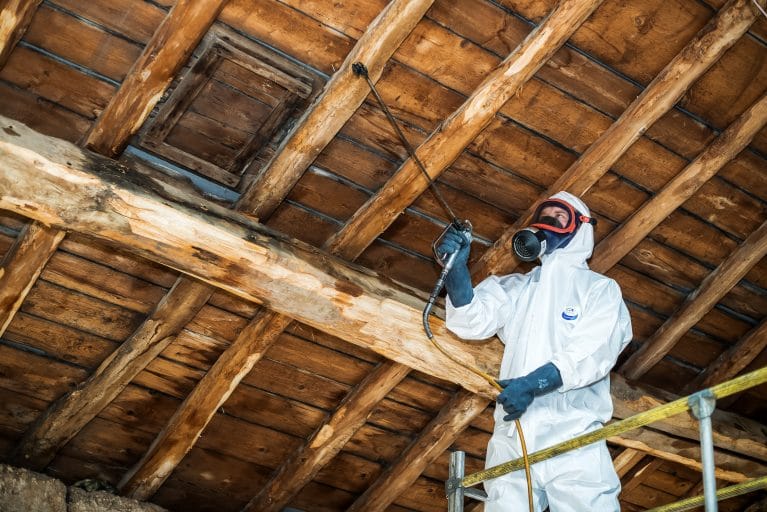 Inspection de toiture et recherche de fuite par Toiture Winter à Cholet