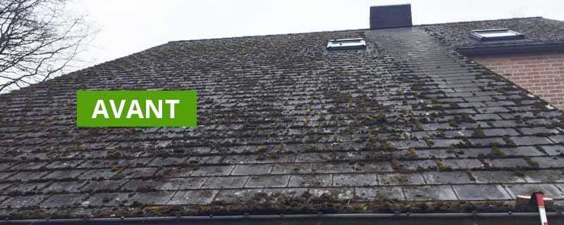 Toiture en ardoise avant après nettoyage par Toiture Winter à Cholet — avant