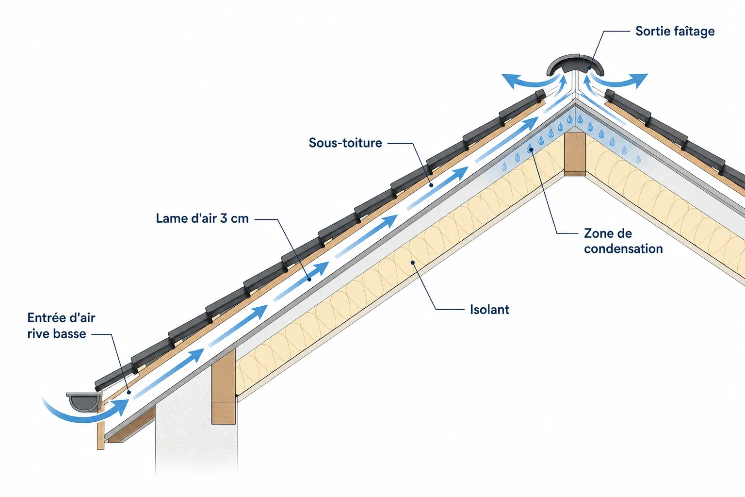 Ventilation de toiture : pourquoi c'est vital pour votre charpente